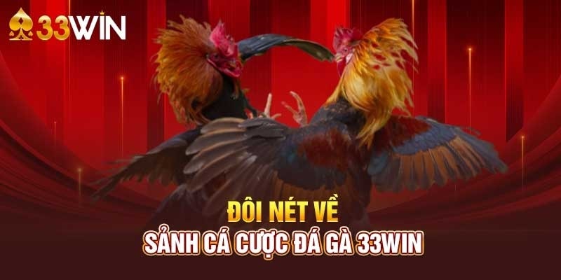 Đôi nét về sảnh đá gà 33Wincom