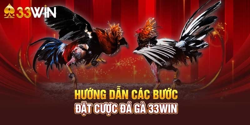 Hướng dẫn các bước đặt cược đá gà 33Wincom