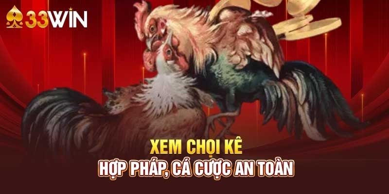 Xem chọi kê an toàn và hợp pháp tại 33Wincom