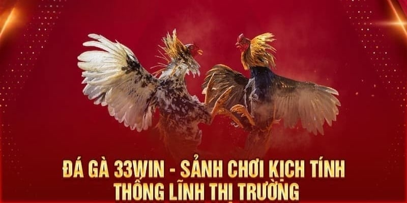 Đá Gà 33Wincom Trải Nghiệm Đỉnh Cao Cùng Sảnh Chơi Uy Tín Số 1